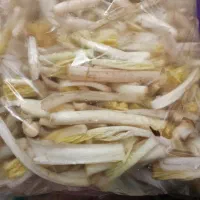 سلام|خوردنی و آشامیدنی|شیراز, گچی|دیوار