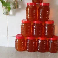 عسل گون|خوردنی و آشامیدنی|قم, آزادگان|دیوار