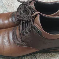 کیف و کفش چرم مردانه|کیف، کفش، کمربند|اندیشه, شهرک المهدی|دیوار