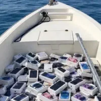 ایفون دریایی 150شماره های روی کارتن پاک شده