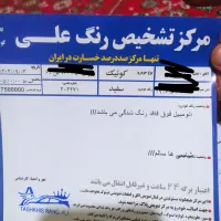 کویک آر اس۱۴۰۲|خودرو سواری و وانت|کوهدشت, |دیوار