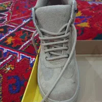 کفش ایمنی بهشتیان