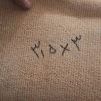 موکت|موکت|تبریز, |دیوار