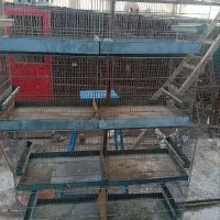 هشت خان تمیز