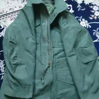 پالتو آمریکایی