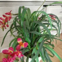 تعدادی وسیله منزل