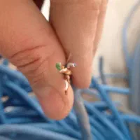 کابل مسی شبکه و...