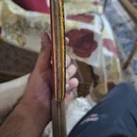 دسته تنیس روی میز|ورزشهای توپی|پیشوا, |دیوار