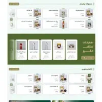 طراحی حرفهای سایت فروشگاه اینترنتی قیمت مناسب|خدمات رایانهای و موبایل|تهران, سلسبیل شمالی|دیوار