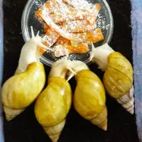 پرورش حلزون های درمانی غول پیکر