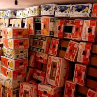 فروش تعداد بالا کارتن موز سالم|ابزارآلات|نهاوند, |دیوار