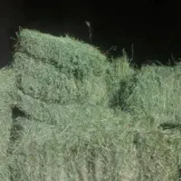 فروش گندم و جو کاه و یونجه درجه یک.