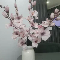 گلدان وگل بسیارزیبا