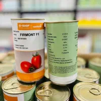 بذر گوجه فرمونت