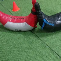 صحفه فرمانی وکسیه بلغاری و باکس جامپ