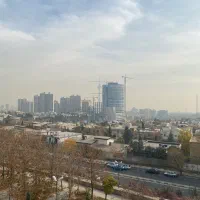 منشی و دستیار
