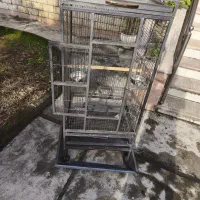 قفس جهت کاسکو ودیگر طوطی سانان|لوازم جانبی حیوانات|نوشهر, |دیوار