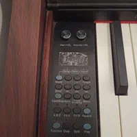 پیانو Burgmuller|پیانو، کیبورد، آکاردئون|ساری, |دیوار