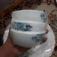 ارکوپال|ظروف سرو و پذیرایی|رباط‌کریم, کیکاور|دیوار