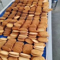 استخدام مسئول فنی و مدیر کنترل کیفیت (QC)