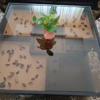 میز ۴تیکه رنگ قهوه ای