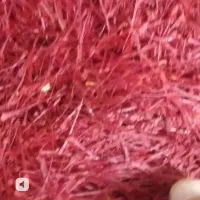 خشک کنی توزیع گل زعفران با دستگاه نجف زاده