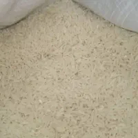 برنج لنگرود