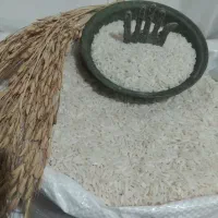 برنج صدری هاشمی فقط ۲۹۰