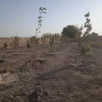 زمین کشاوزی 1000 متری