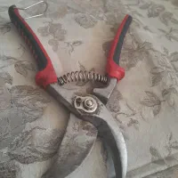 قیچی باغبانی