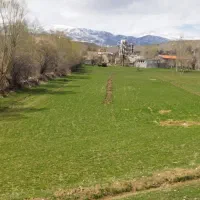 فروش فوری باغ