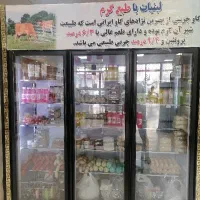 یخچال سه در  مغازه و فروشگاه