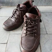 کفش|کیف، کفش، کمربند|سمنان, |دیوار