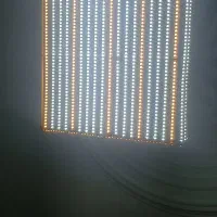 لامپ دست ساز|لامپ و چراغ|نورآباد, |دیوار