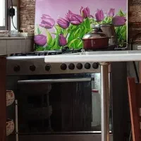 گاز فر مارک رمگا