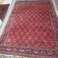 فرش ۶ متری افشار بافت