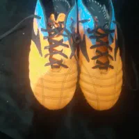 کفش استوک|کیف، کفش، کمربند|اهواز, دغاغله|دیوار