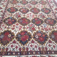 قالی|فرش|شهرکرد, |دیوار