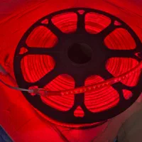 ریسه شیلنگی|ریسه و چراغ تزئینی|کاشان, فاز ۱ ناجی آباد|دیوار