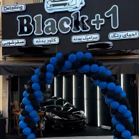 دیتیلینگ پولیش واکس سرامیک  کاوربدنه