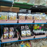 پرنده ...|پرنده|قم, نیروگاه|دیوار