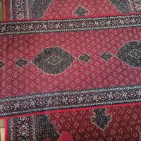 کناره فرش|فرش|سنندج, |دیوار