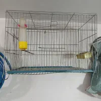 قفس پرنده