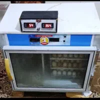 دستگاه جوجه کشی
