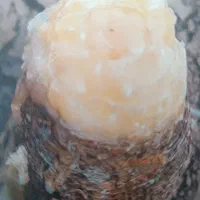 سر مایه گذاری بلند مدت با تضمین اصل سرمایه