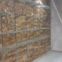 اجاره مغازه ۱۹ متری در بازار|اجارهٔ مغازه و غرفه|رشت, بازار|دیوار