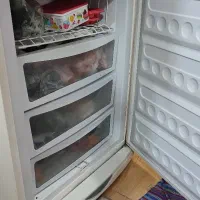 یخچال|یخچال و فریزر|رشت, گلباغ نماز|دیوار