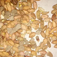 بادام زمینی|خوردنی و آشامیدنی|پاکدشت, شهرک امام رضا|دیوار