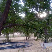 فروش لوله های اصل باغی