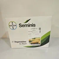 فروش بذر ذرت شیرین با کیفیت